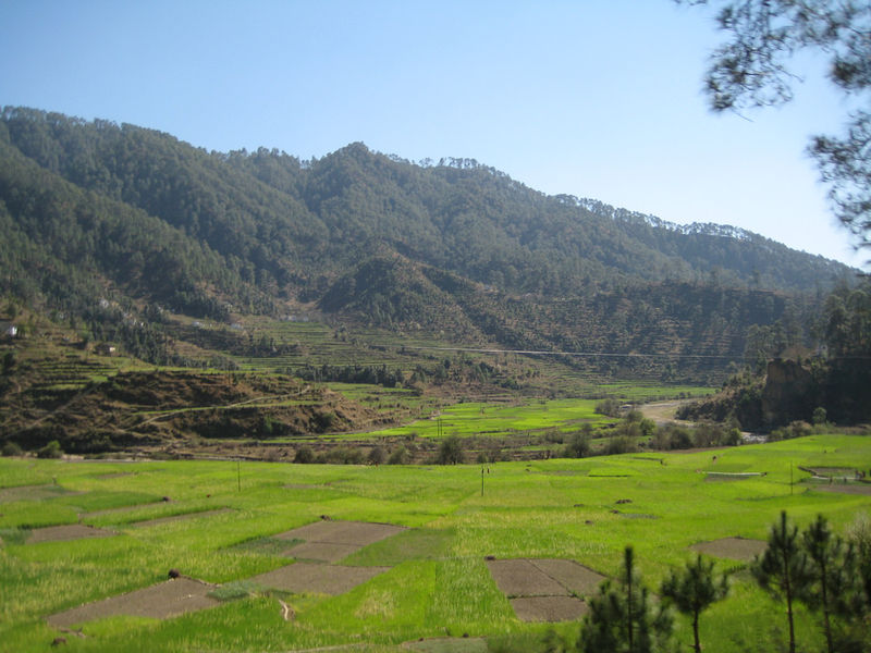 चित्र:Kausani-9.jpg