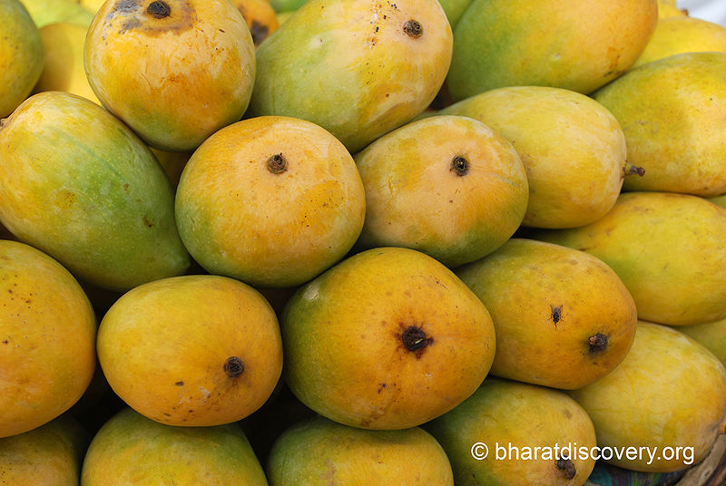 चित्र:Mango-4.jpg