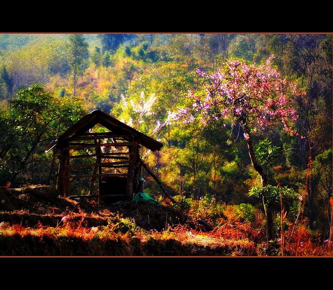 चित्र:Kohima-3.jpg