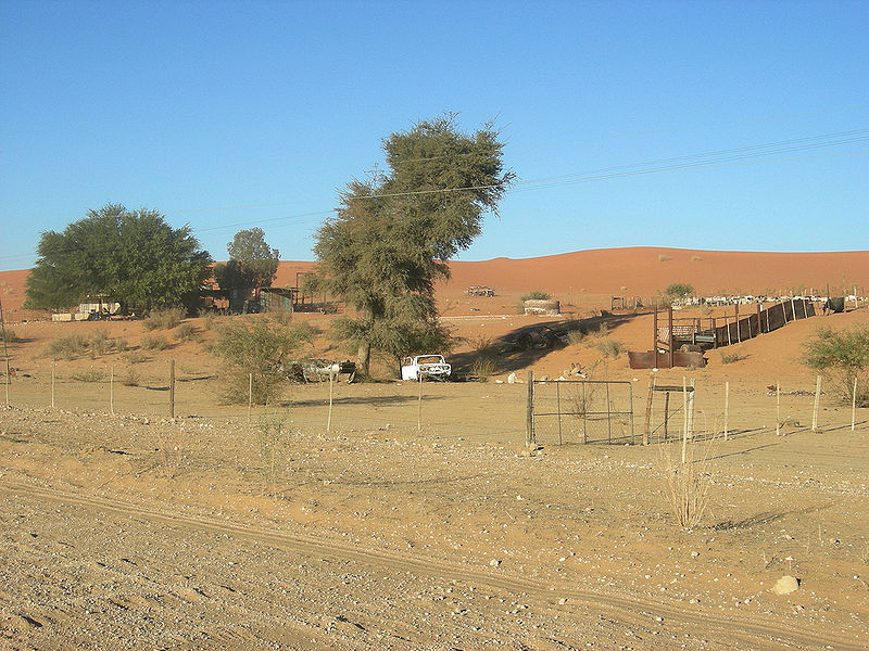 चित्र:Kalahari-Desert-1.jpg