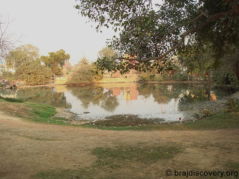चित्र:Dev-Kund-Kankali-Tila-Mathura-1.jpg