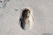 Rann-Of-Kachchh-6.jpg