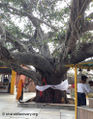 शुक्रताल, मुज़फ़्फ़रनगर