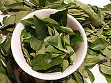 Curry-Leaves-1.jpg
