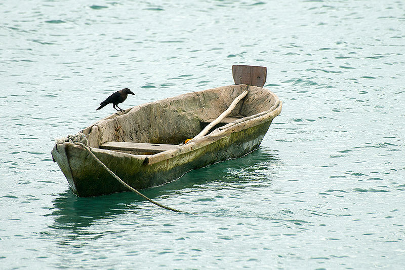 चित्र:Crow-on-boat.jpg