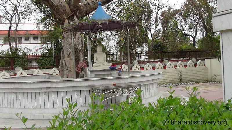 चित्र:Kushinagar-2.jpg