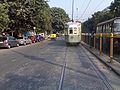 ट्राम, कोलकाता Tram, Kolkata