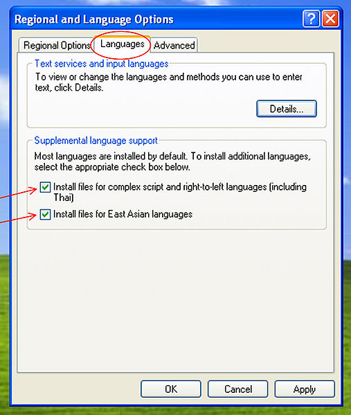 चित्र:Indic-support.jpg