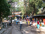 Kasauli-1.jpg