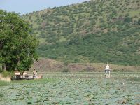 जैतसागर झील