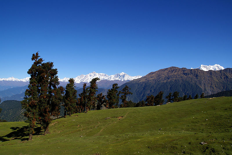 चित्र:Tungnath-Hill.jpg
