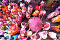 होली, राधा रानी मन्दिर, बरसाना Holi, Radha Rani Temple, Barsana