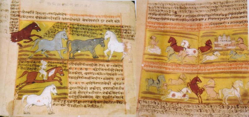 चित्र:Shalihotra-Manuscript.jpg
