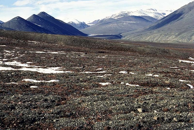 चित्र:Tundra.jpg