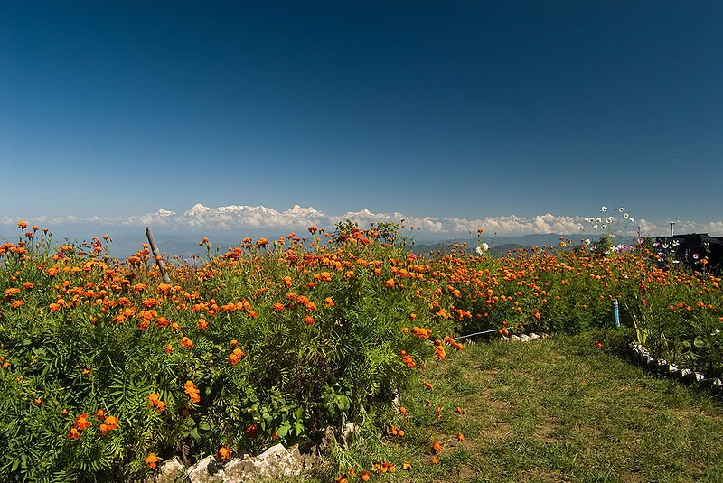 चित्र:Mukteshwar-3.jpg