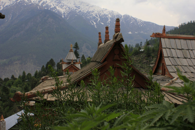 चित्र:Kalpa-7.jpg