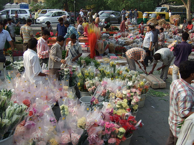 चित्र:Market-Delhi-9.jpg