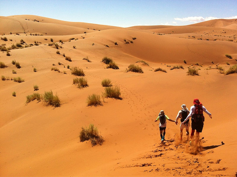 चित्र:Namib-Desert-1.jpg
