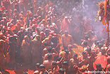 होली, द्वारिकाधीश मन्दिर, मथुरा