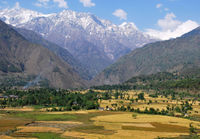 पालमपुर का एक दृश्य, हिमाचल प्रदेश